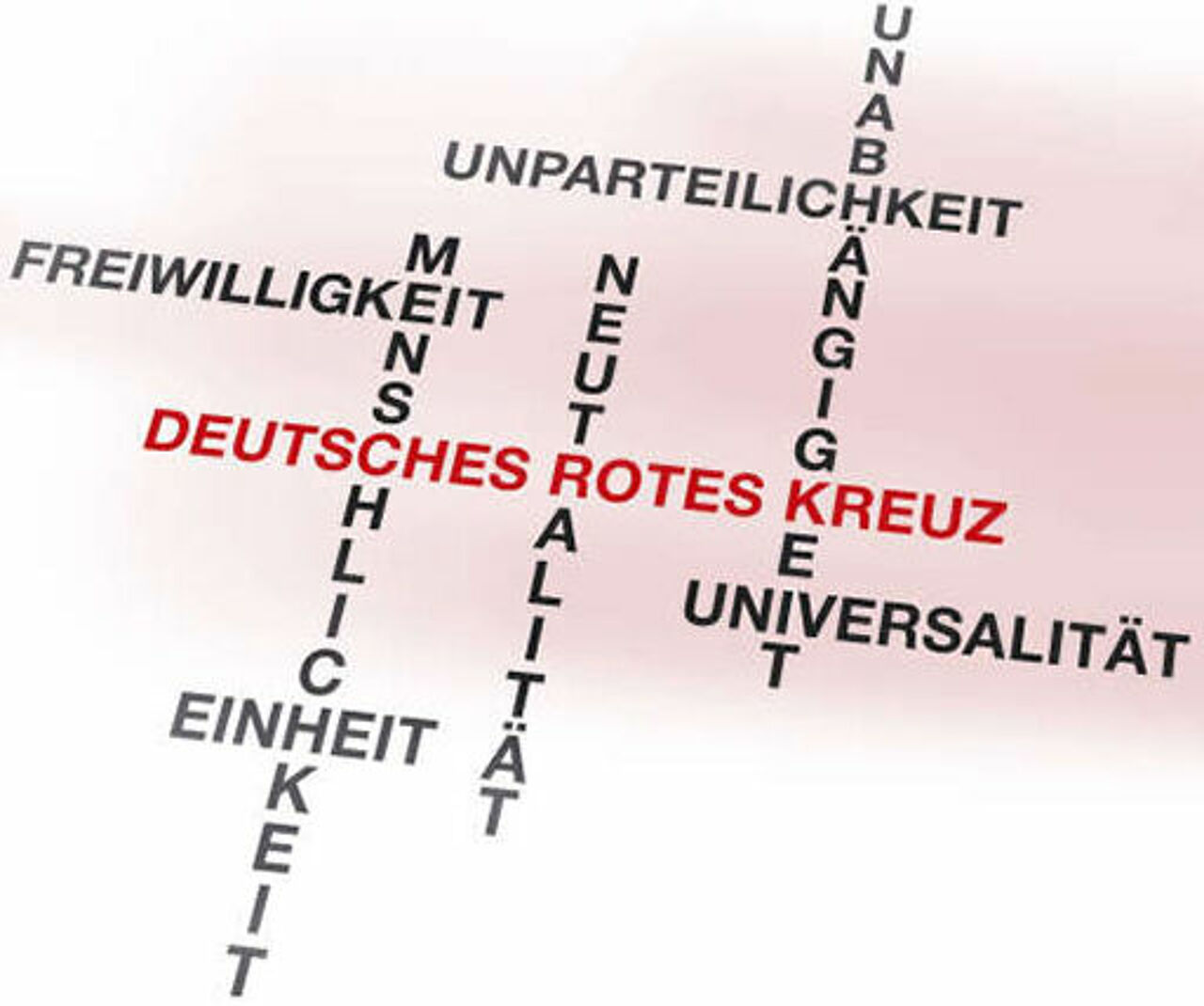 Grafik: Niedergeschriebene Rotkreuzgrundsätze vereinen sich im Namen Deutsches Rotes Kreuz